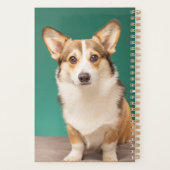 Kutest Baby Animals | Corgi over Blauwgroen Planner (Achterkant)