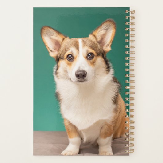 Kutest Baby Animals | Corgi over Blauwgroen Planner (Achterkant)