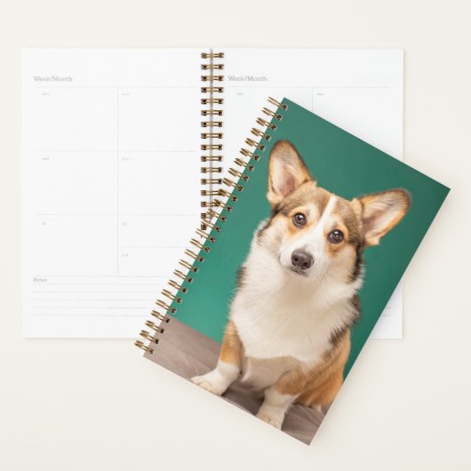 Kutest Baby Animals | Corgi over Blauwgroen Planner (Display)