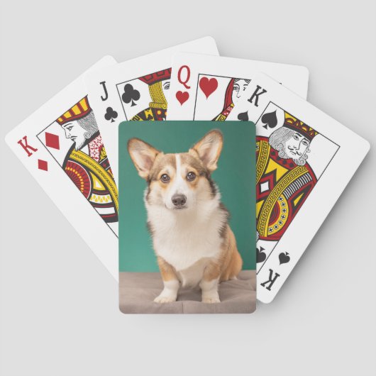 Kutest Baby Animals | Corgi over Blauwgroen Pokerkaarten (Achterkant)