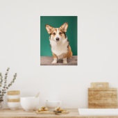 Kutest Baby Animals | Corgi over Blauwgroen Poster (Keuken)