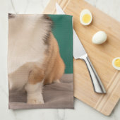 Kutest Baby Animals | Corgi over Blauwgroen Theedoek (Quarter Fold)