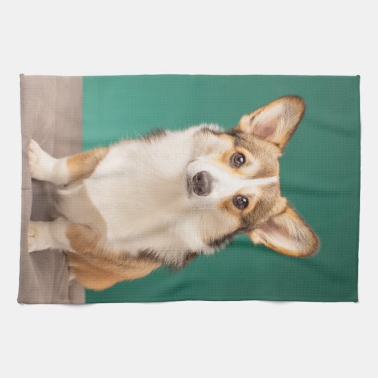 Kutest Baby Animals | Corgi over Blauwgroen Theedoek (Horizontaal)