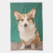 Kutest Baby Animals | Corgi over Blauwgroen Theedoek (Verticaal)