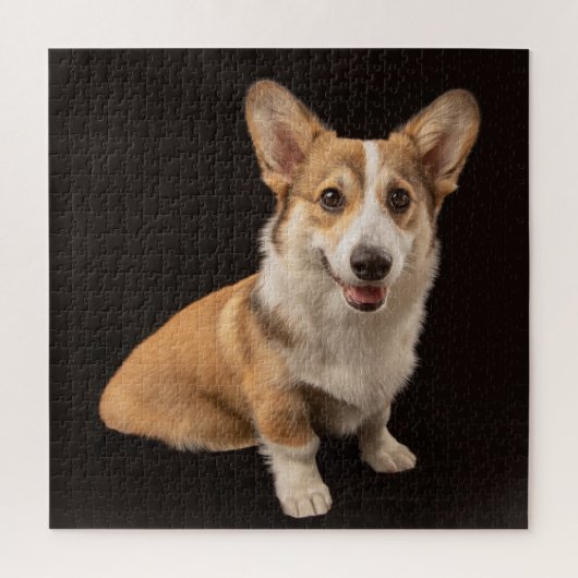 Kutest Baby Animals | Corgi Portrait on Black Legpuzzel (Verticaal)