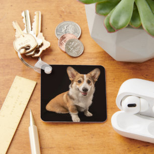 Kutest Baby Animals   Corgi Portrait on Black Sleutelhanger