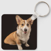 Kutest Baby Animals | Corgi Portrait on Black Sleutelhanger (Achterkant)