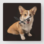 Kutest Baby Animals | Corgi Portrait on Black Vierkante Klok (Voorkant)
