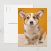 Kutest Baby Animals | Corgi Portret op Sinaasappel Briefkaart (Voorkant / Achterkant)