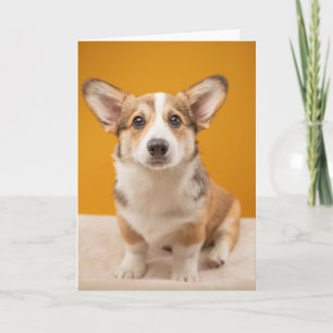 Kutest Baby Animals Corgi Portret op Sinaasappel Kaart