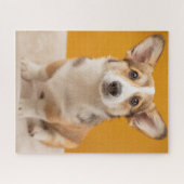 Kutest Baby Animals | Corgi Portret op Sinaasappel Legpuzzel (Horizontaal)