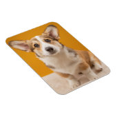 Kutest Baby Animals | Corgi Portret op Sinaasappel Magneet (Rechterzijde)