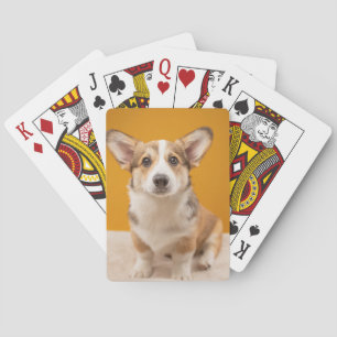 Kutest Baby Animals   Corgi Portret op Sinaasappel Pokerkaarten
