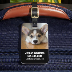 Kutest Baby Animals   Corgi Puppy Bagagelabel