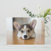 Kutest Baby Animals | Corgi Puppy Bedankkaart (Staand voorkant)
