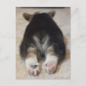 Kutest Baby Animals | Corgi Puppy Behind Briefkaart (Voorkant)