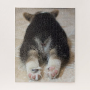 Kutest Baby Animals   Corgi Puppy Behind Legpuzzel