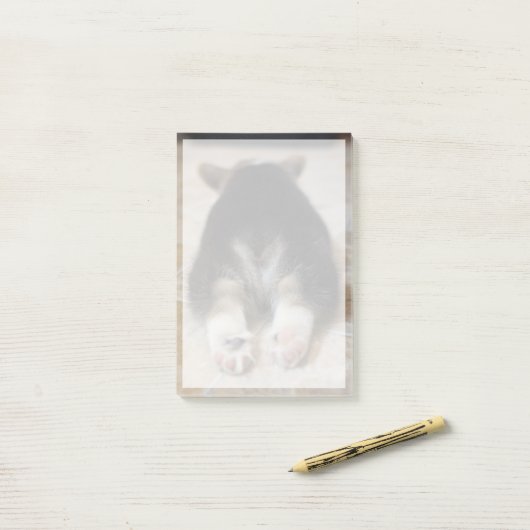 Kutest Baby Animals | Corgi Puppy Behind Post-it® Notes (Op bureau)