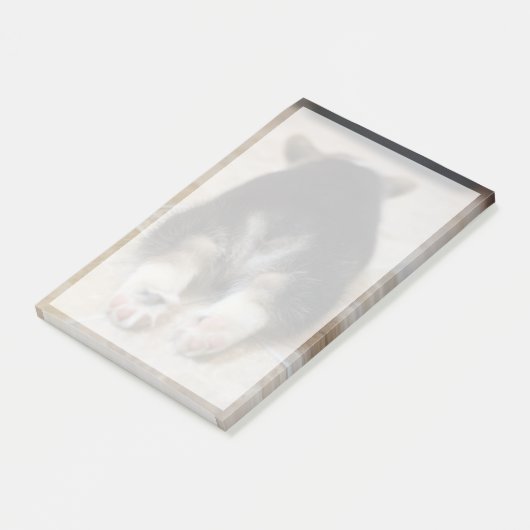 Kutest Baby Animals | Corgi Puppy Behind Post-it® Notes (Schuin)