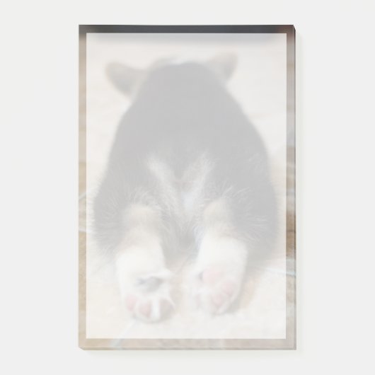 Kutest Baby Animals | Corgi Puppy Behind Post-it® Notes (Voorkant)