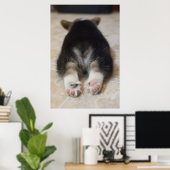 Kutest Baby Animals | Corgi Puppy Behind Poster (Thuiskantoor)