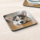 Kutest Baby Animals | Corgi Puppy Bier Onderzetter (Linkerzijde)