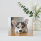 Kutest Baby Animals | Corgi Puppy Briefkaart (Staand voorkant)