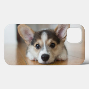 Kutest Baby Animals   Corgi Puppy Case-Mate iPhone Case