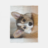 Kutest Baby Animals | Corgi Puppy Fleece Deken (Voorkant)