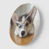 Kutest Baby Animals | Corgi Puppy Grote Klok (Hoek)