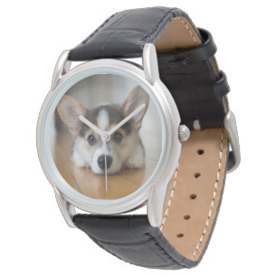 Kutest Baby Animals   Corgi Puppy Horloge