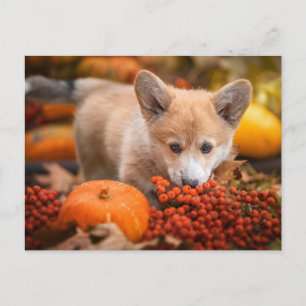 Kutest Baby Animals Corgi Puppy in het najaar Briefkaart
