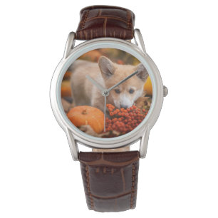Kutest Baby Animals Corgi Puppy in het najaar Horloge