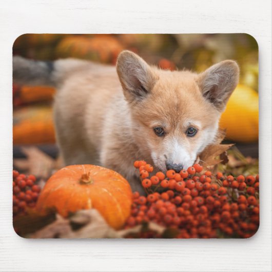 Kutest Baby Animals | Corgi Puppy in het najaar Muismat (Voorkant)