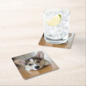 Kutest Baby Animals | Corgi Puppy Kartonnen Onderzetters (Insitu)