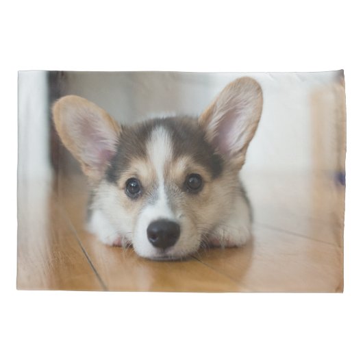 Kutest Baby Animals | Corgi Puppy Kussensloop (Achterkant)