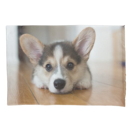 Kutest Baby Animals | Corgi Puppy Kussensloop (Voorkant)
