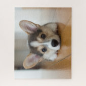 Kutest Baby Animals | Corgi Puppy Legpuzzel (Verticaal)