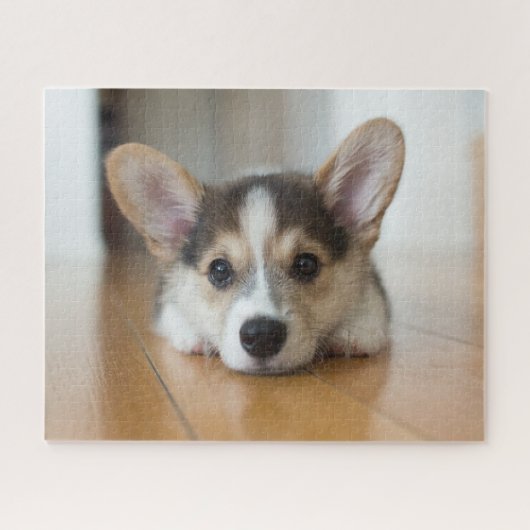 Kutest Baby Animals | Corgi Puppy Legpuzzel (Horizontaal)