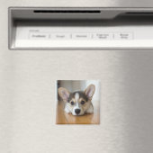 Kutest Baby Animals | Corgi Puppy Magneet (Insitu (Vaatwasser))