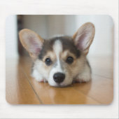 Kutest Baby Animals | Corgi Puppy Muismat (Voorkant)