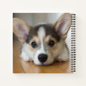 Kutest Baby Animals | Corgi Puppy Notitieboek (Achterkant)