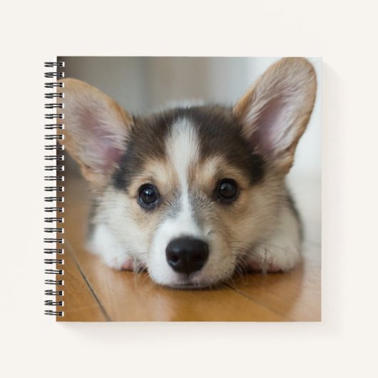 Kutest Baby Animals | Corgi Puppy Notitieboek (Voorkant)