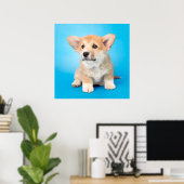 Kutest Baby Animals | Corgi Puppy op blauw Poster (Thuiskantoor)