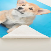 Kutest Baby Animals | Corgi Puppy op blauw Sherpa Deken (3/4)