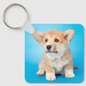 Kutest Baby Animals | Corgi Puppy op blauw Sleutelhanger (Voorkant)