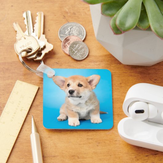 Kutest Baby Animals | Corgi Puppy op blauw Sleutelhanger (Bureau)