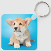 Kutest Baby Animals | Corgi Puppy op blauw Sleutelhanger (Achterkant)