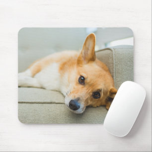 Kutest Baby Animals Corgi Puppy op de bank Muismat