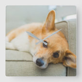 Kutest Baby Animals | Corgi Puppy op de bank Vierkante Klok (Voorkant)